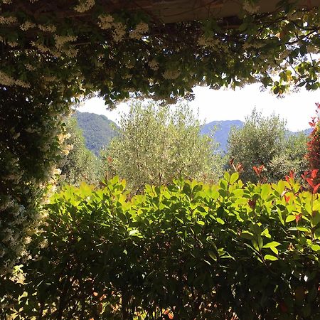 Agriturismo Tenuta La Fratta Bagni di Lucca Exteriér fotografie