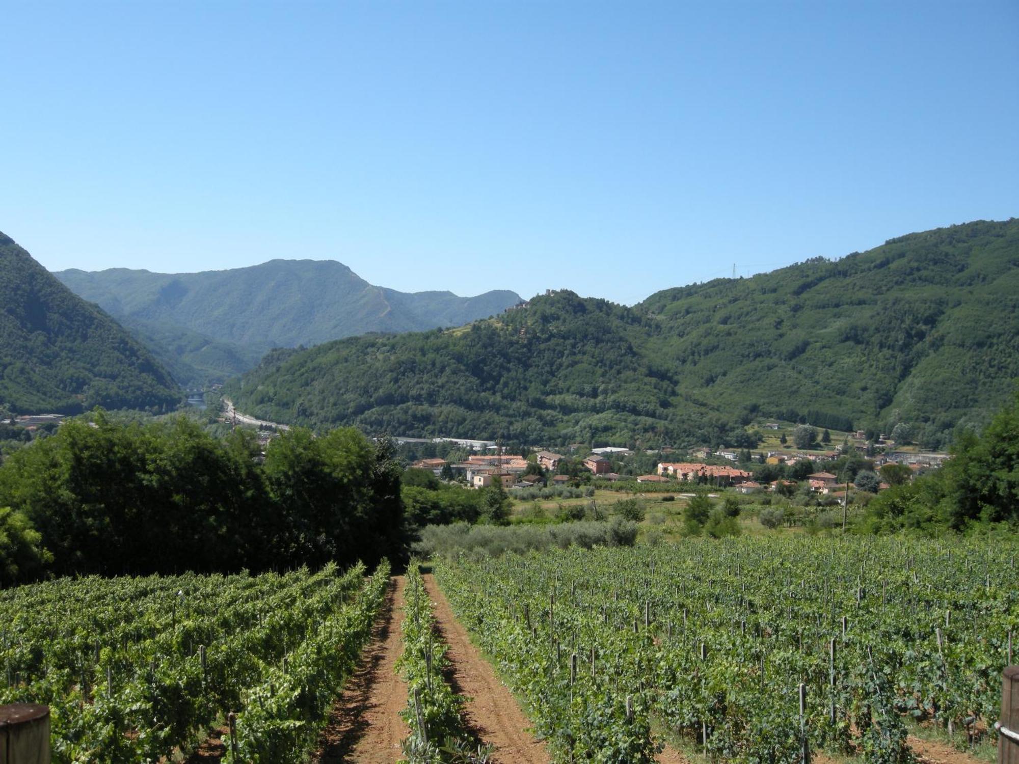 Agriturismo Tenuta La Fratta Bagni di Lucca Exteriér fotografie
