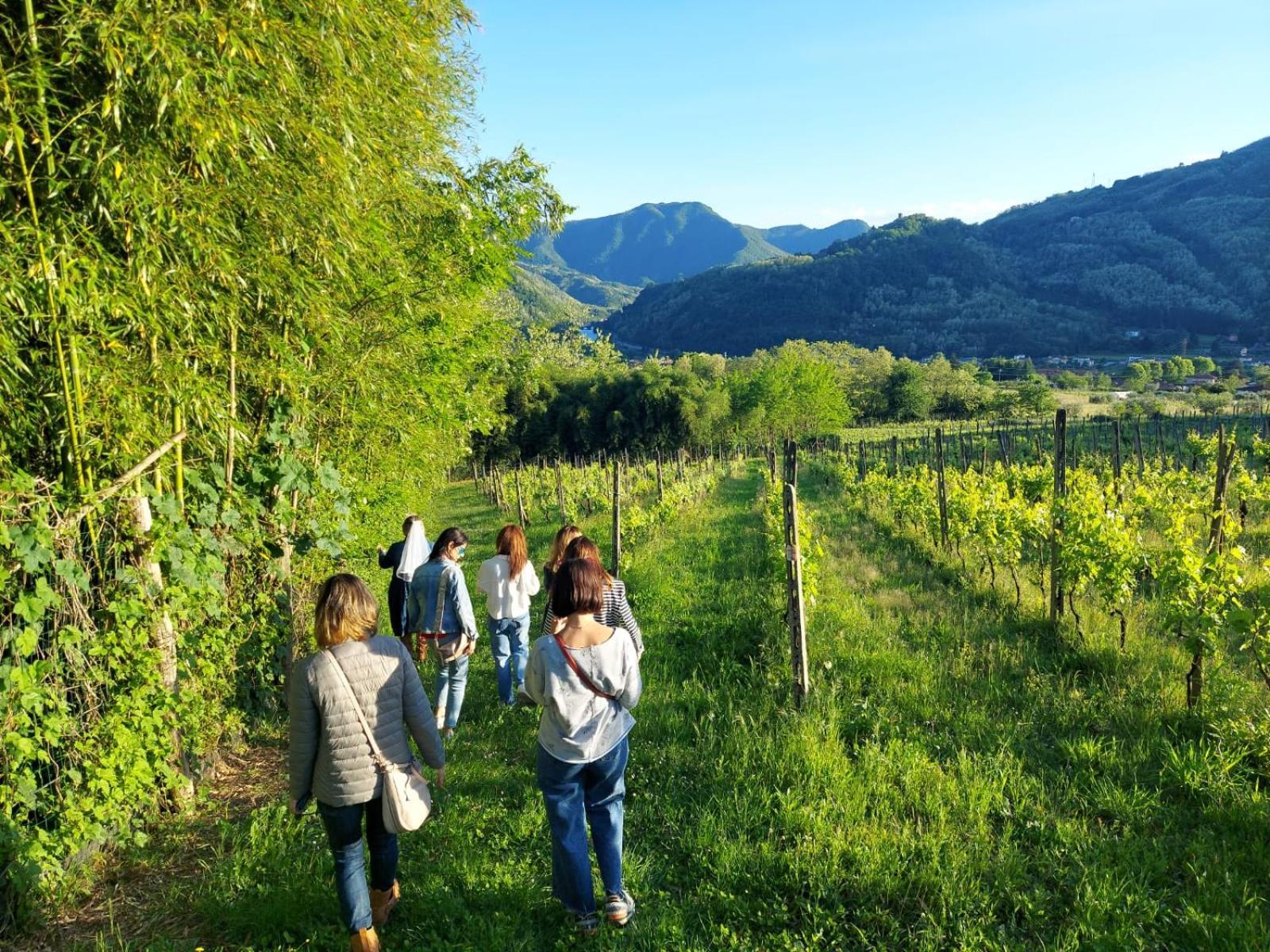 Agriturismo Tenuta La Fratta Bagni di Lucca Exteriér fotografie