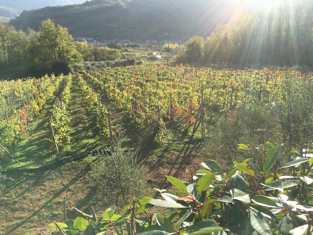 Agriturismo Tenuta La Fratta Bagni di Lucca Exteriér fotografie