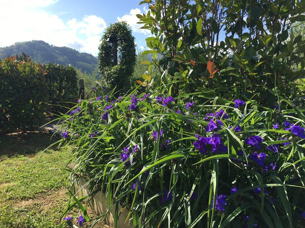 Agriturismo Tenuta La Fratta Bagni di Lucca Exteriér fotografie