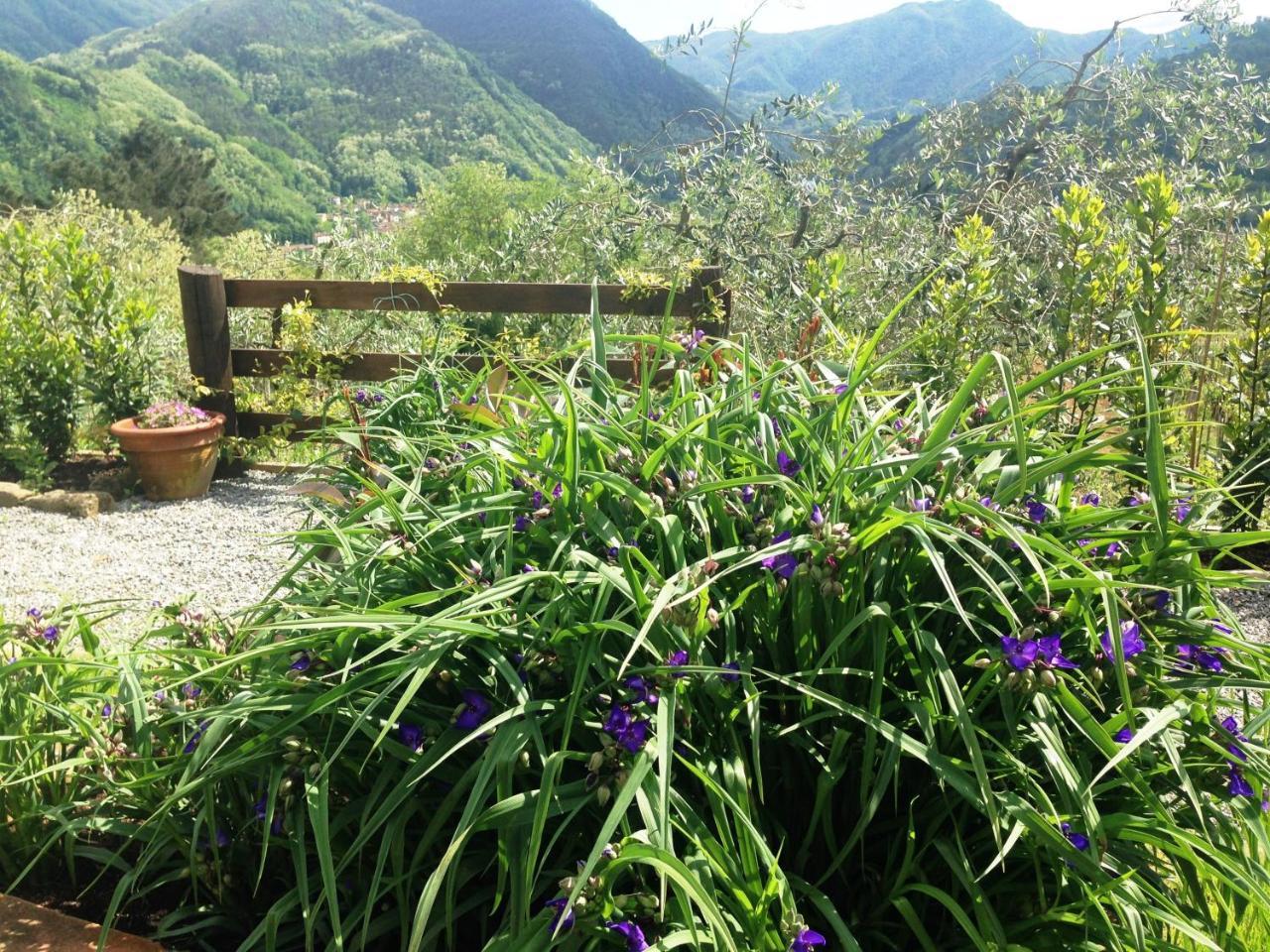 Agriturismo Tenuta La Fratta Bagni di Lucca Exteriér fotografie