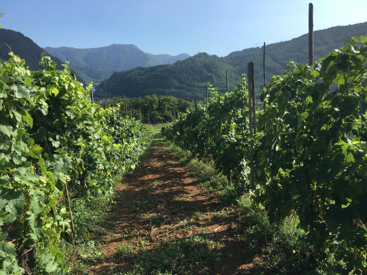 Agriturismo Tenuta La Fratta Bagni di Lucca Exteriér fotografie